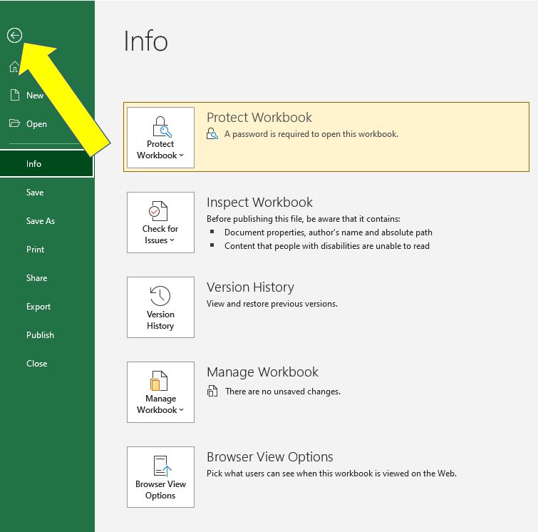 password protect Excel