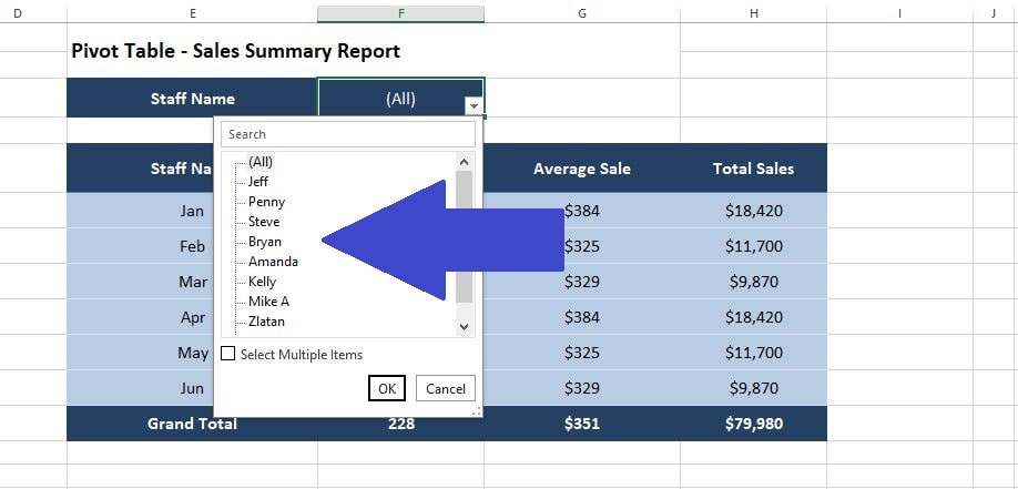 VBA for Splitting an Excel Pivot Table into Multiple Reports